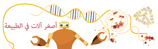 Nanobiotechnology Arabic