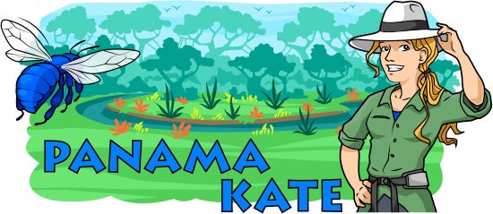 Panama Kate