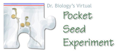 Pocket Seed Experiment