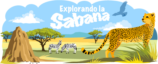 Ejercicio Preciso pasillo Explorando la Sabana | Ask A Biologist