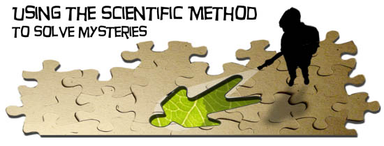 Scientific Method