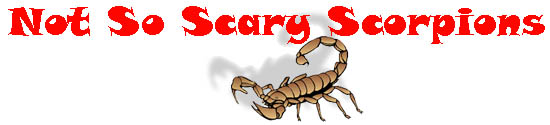 Not so scary scorpions