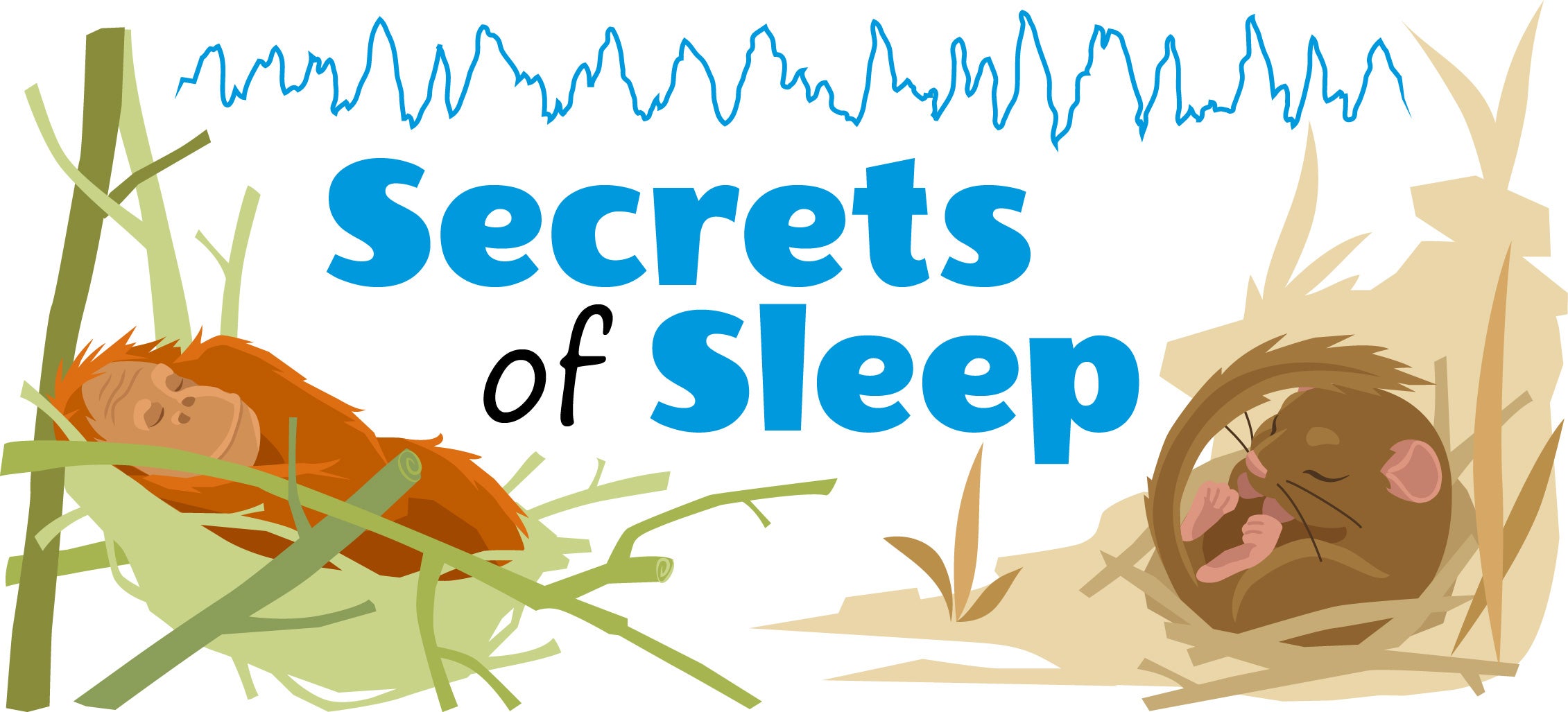 Science And Evolution Of Sleep Ask A Biologist