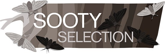 Sooty Selection