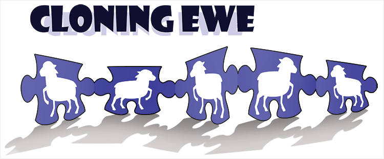 Cloning Ewe 