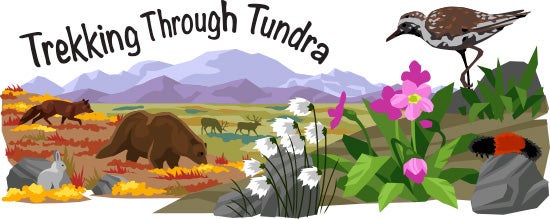 tundra biome clipart