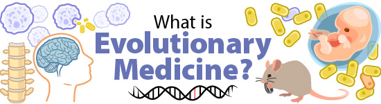 Evolutionary medicine or Darwinian medicine