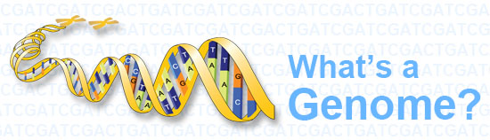 Genomics