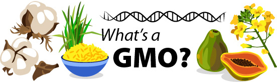 Genetically modified organisms