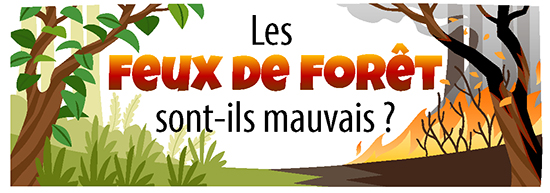 une illustration d'un incendie de forêt, avec des animaux de la forêt qui s'enfuient et le texte « Les feux de forêt sont-ils mauvais ? »