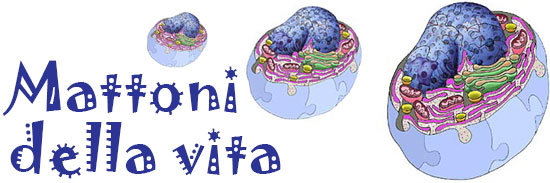 Main header image