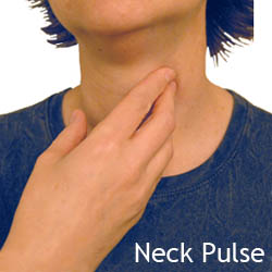 neck pusle
