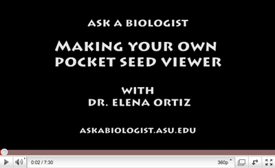 pocket seed video