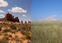 desert and grasslands