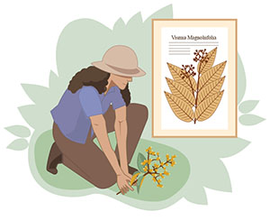 Illustration of scientists collecting samples in the field.