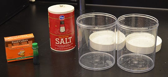 salt and water experiment