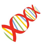 dna