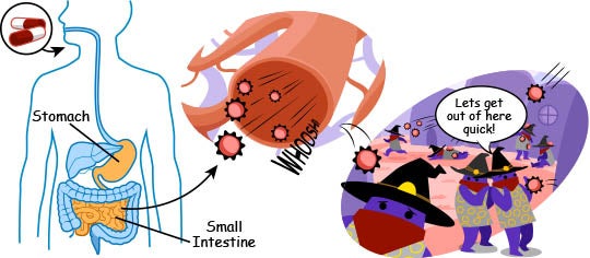 antibiotics killing bacteria cartoon