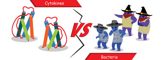 cytokines vs bacteria