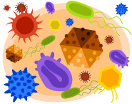 Bacteria Overview | Ask A Biologist