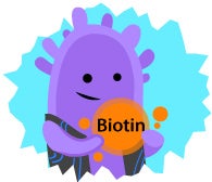 biotin