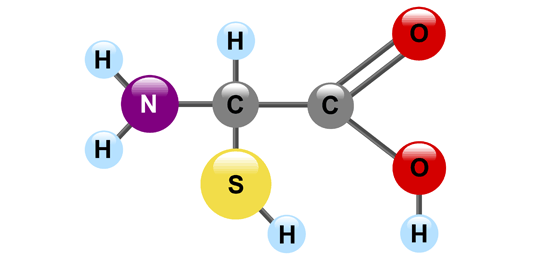 2-amino-2-sulfanylacetic acid
