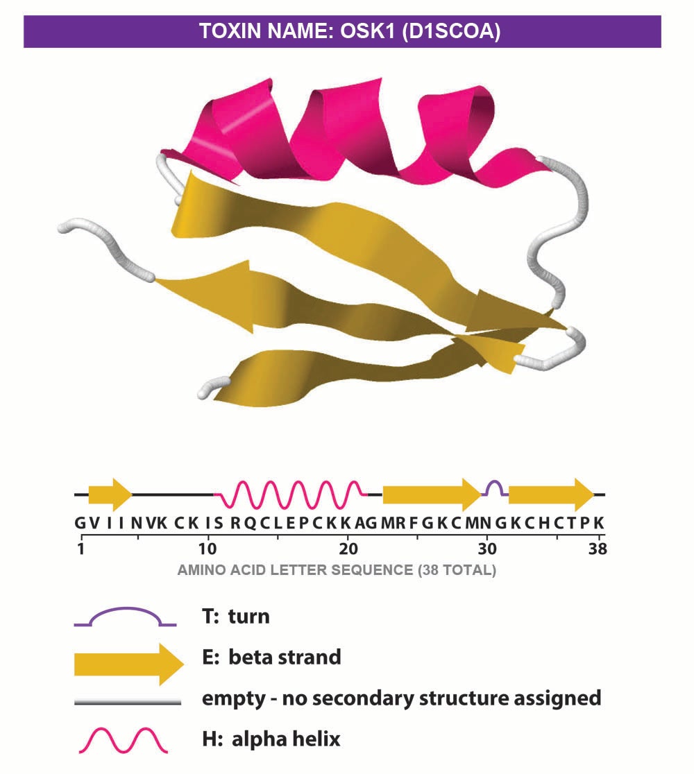 Protein structure ribbon diagrams forming human body on Craiyon