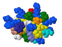 computer model of chlorotoxin
