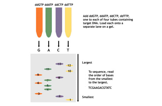 sequencing diagram
