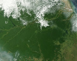 Aerial view Amazon