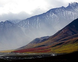 Alaskan tundra