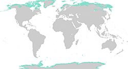 Tundra map
