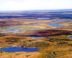 Siberian Tundra