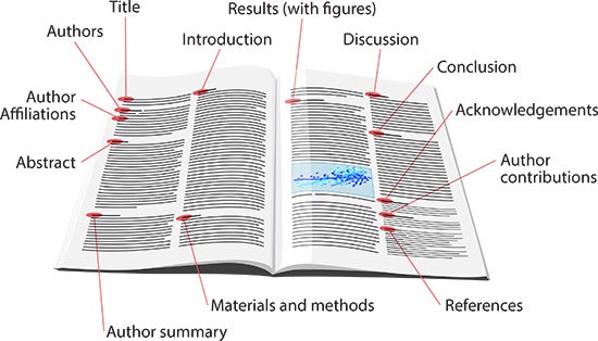 what are the 5 main sections of a research journal article