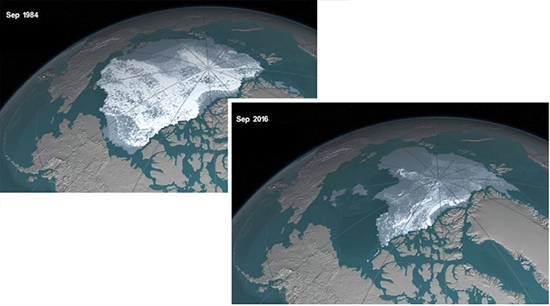 Changing sea ice