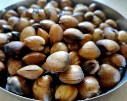 a bowl of clams