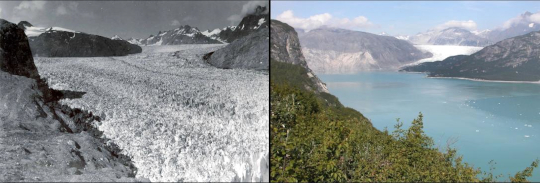 images showing how much the Muir glacier has melted in half a century