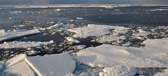 Arctic sea ice