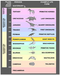 Geological Timeline - Giant Insects