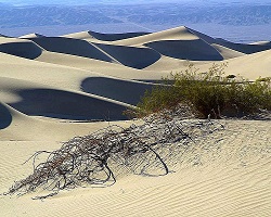 en öken med sanddyner