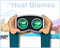 Virtual Biome Image