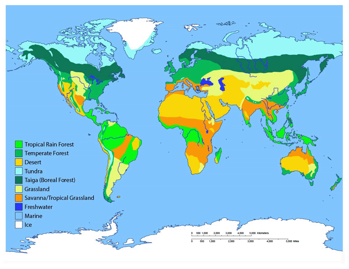 Biomes of the World  Ask A Biologist With World Biome Map Coloring Worksheet