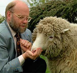 Iam Wilmut feeding his cloned sheep Dolly