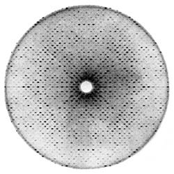 Photographic x-ray diffraction image from a bovine Cu,Zn superoxide dismutase crystal