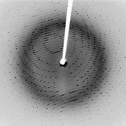 X-ray diffraction pattern