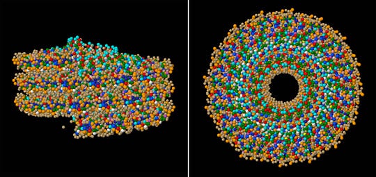 Tobacco mosaic virus