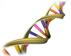 Aritist representation of DNA 