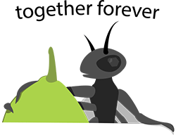 Obligate mutualism - together forever