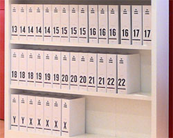 Human genome bookcase