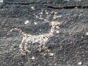 Petroglyphs in South Mountain Park